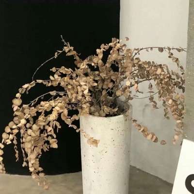 Furry数位绘画技巧Furry群